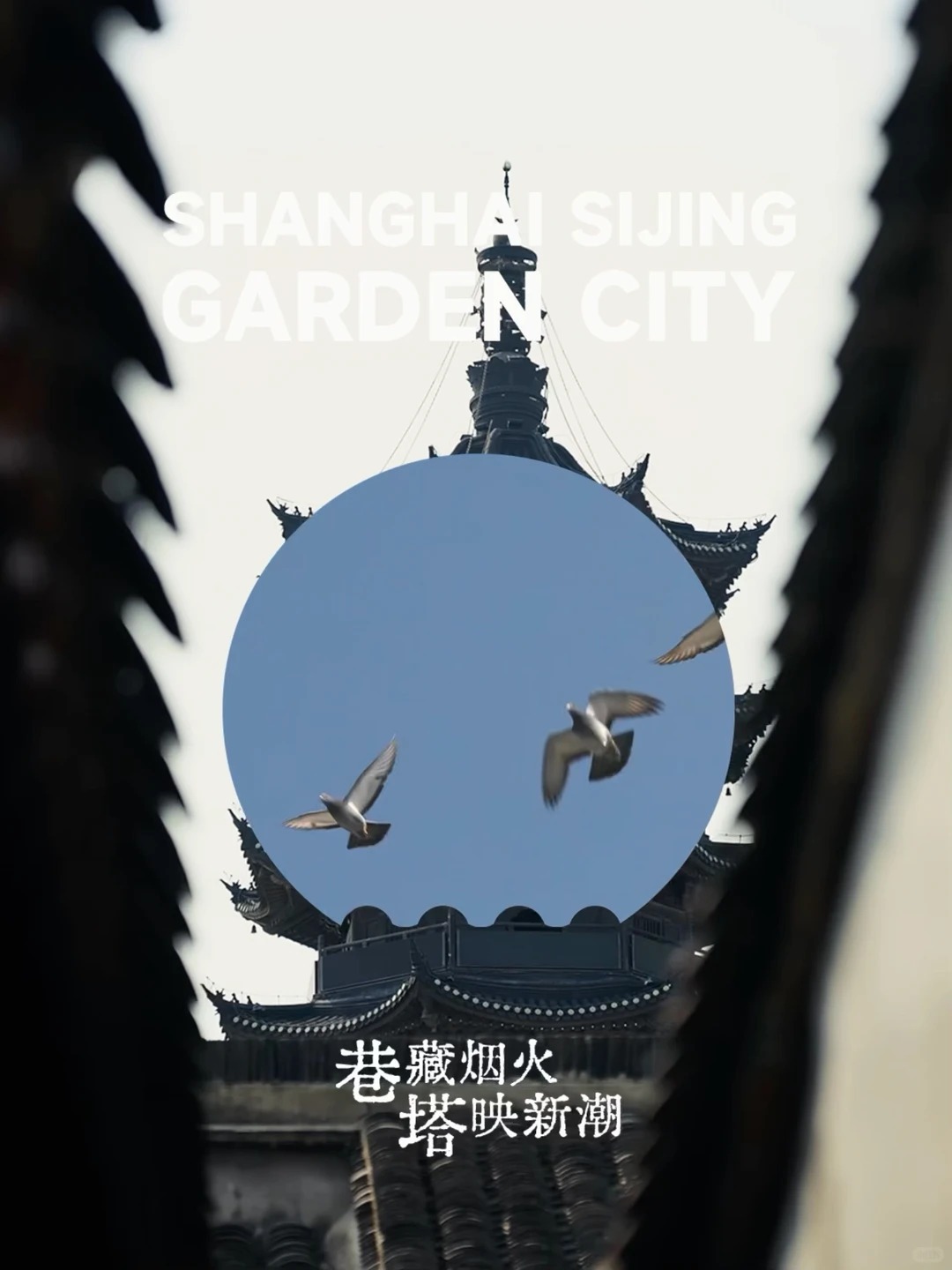泗泾巷与塔视觉